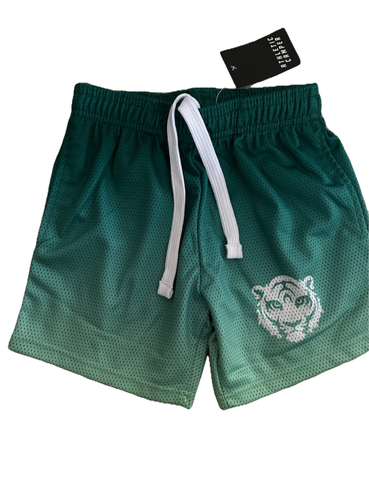 NWT Shorts