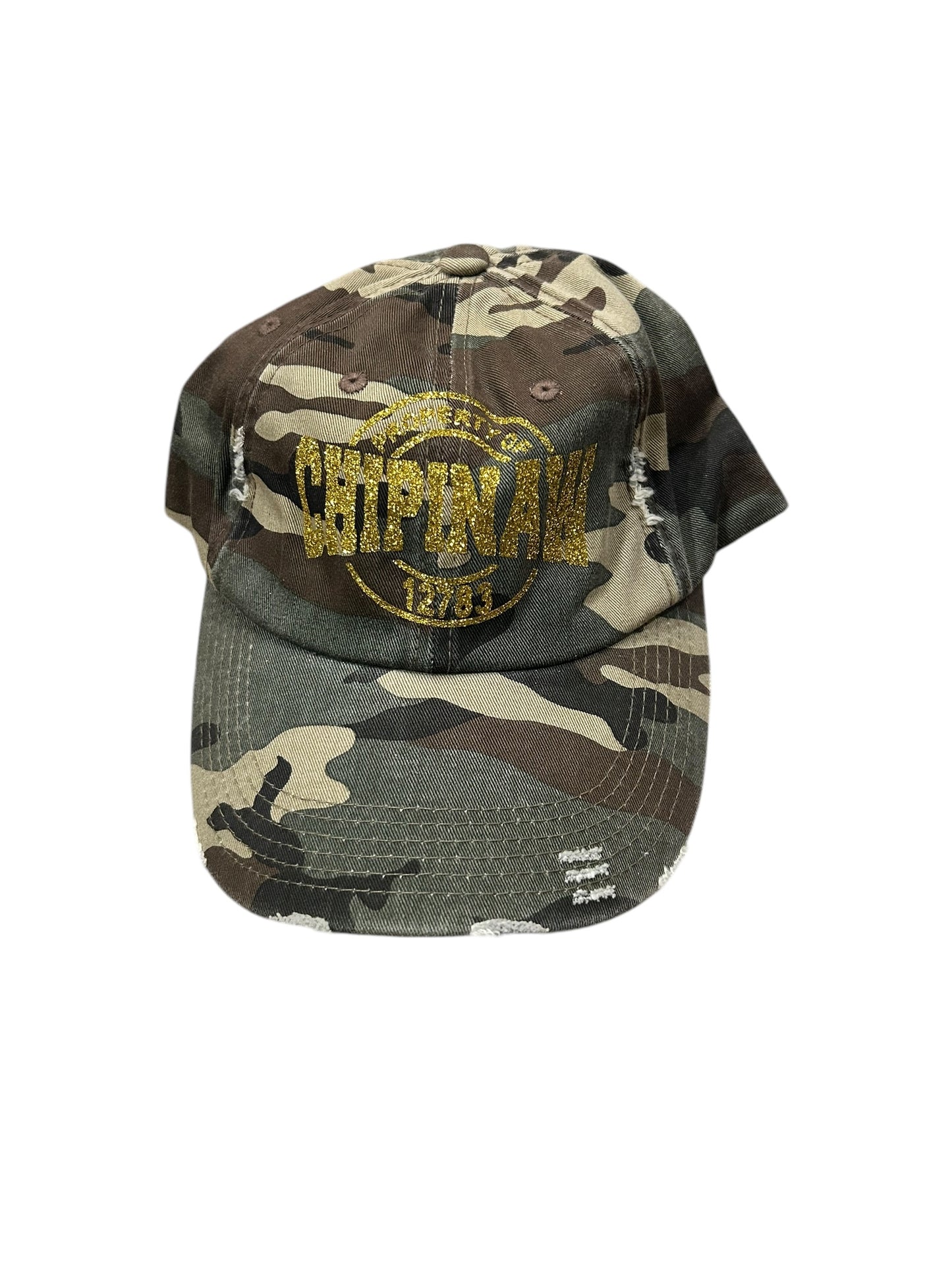 NEW Baseball Hat