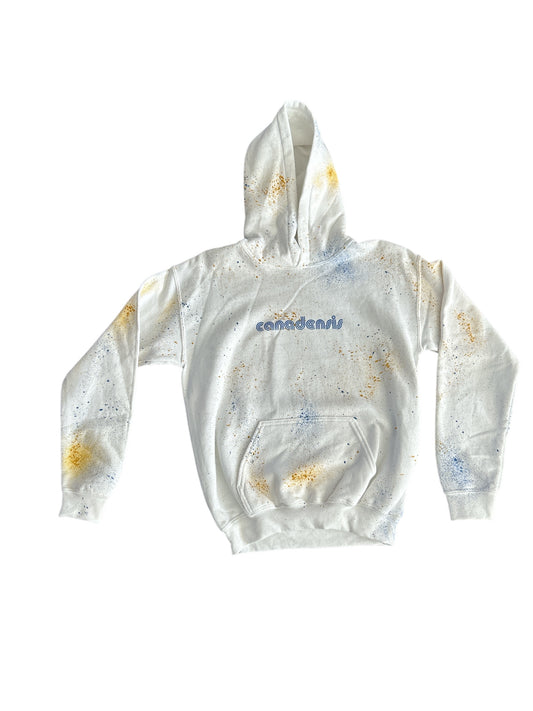 NEW Hooded Sweatshirt